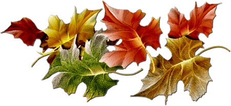Series Of Maple Leaves icons