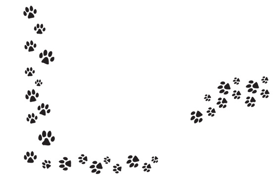 Series Of Paw Prints PNG icons