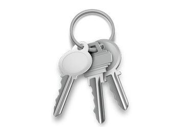 Set Of Silver Keys icons