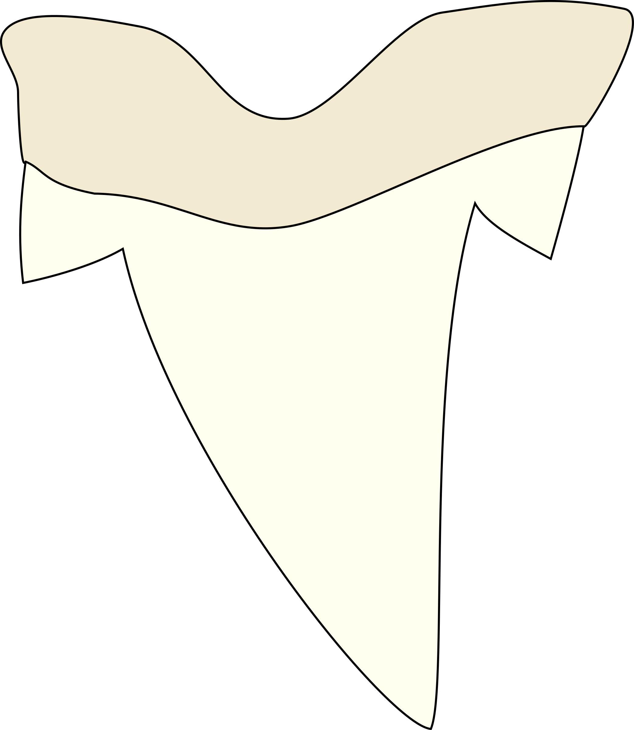 Shark tooth png