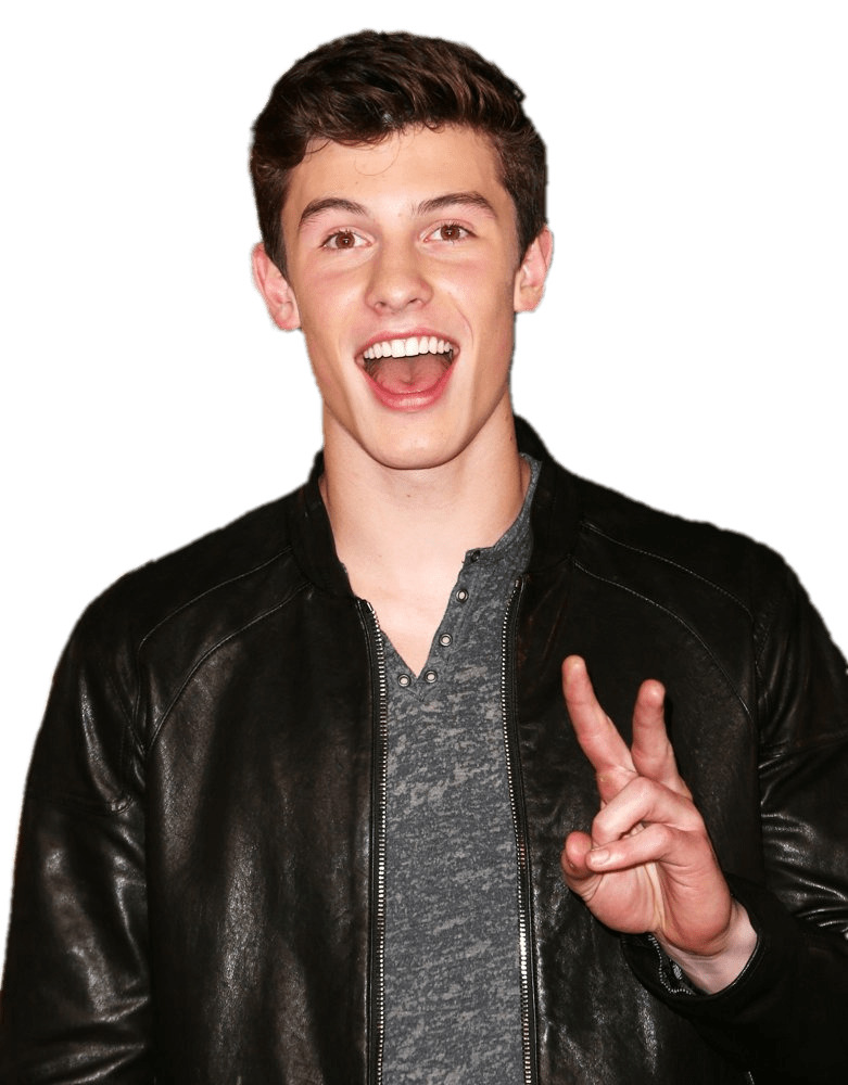 Shawn Mendes Peace icons