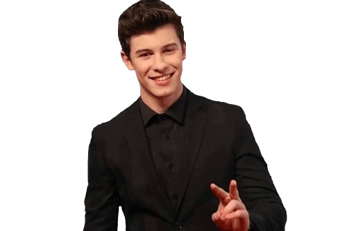 Shawn Mendes V Sign icons