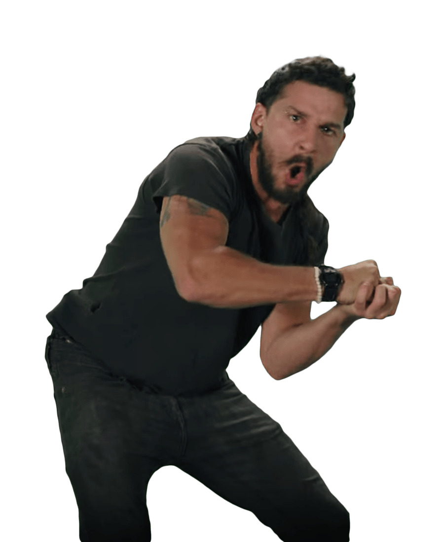 Shia LaBeouf Fists png icons