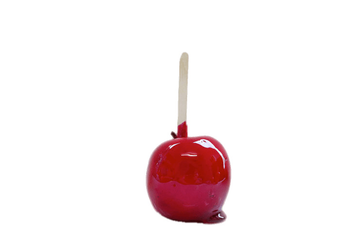 Shiny Toffee Apple png icons