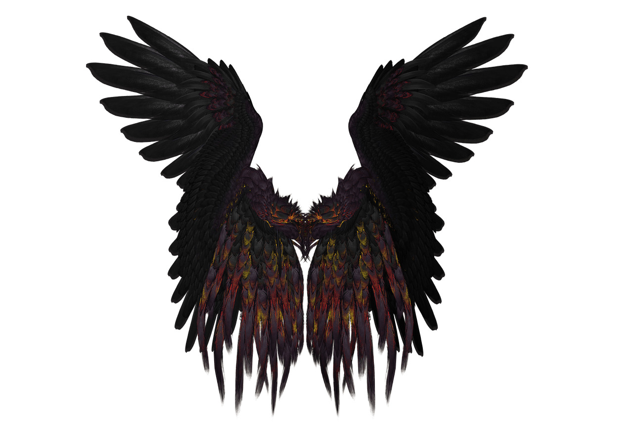 Short Black and Purple Wings png icons