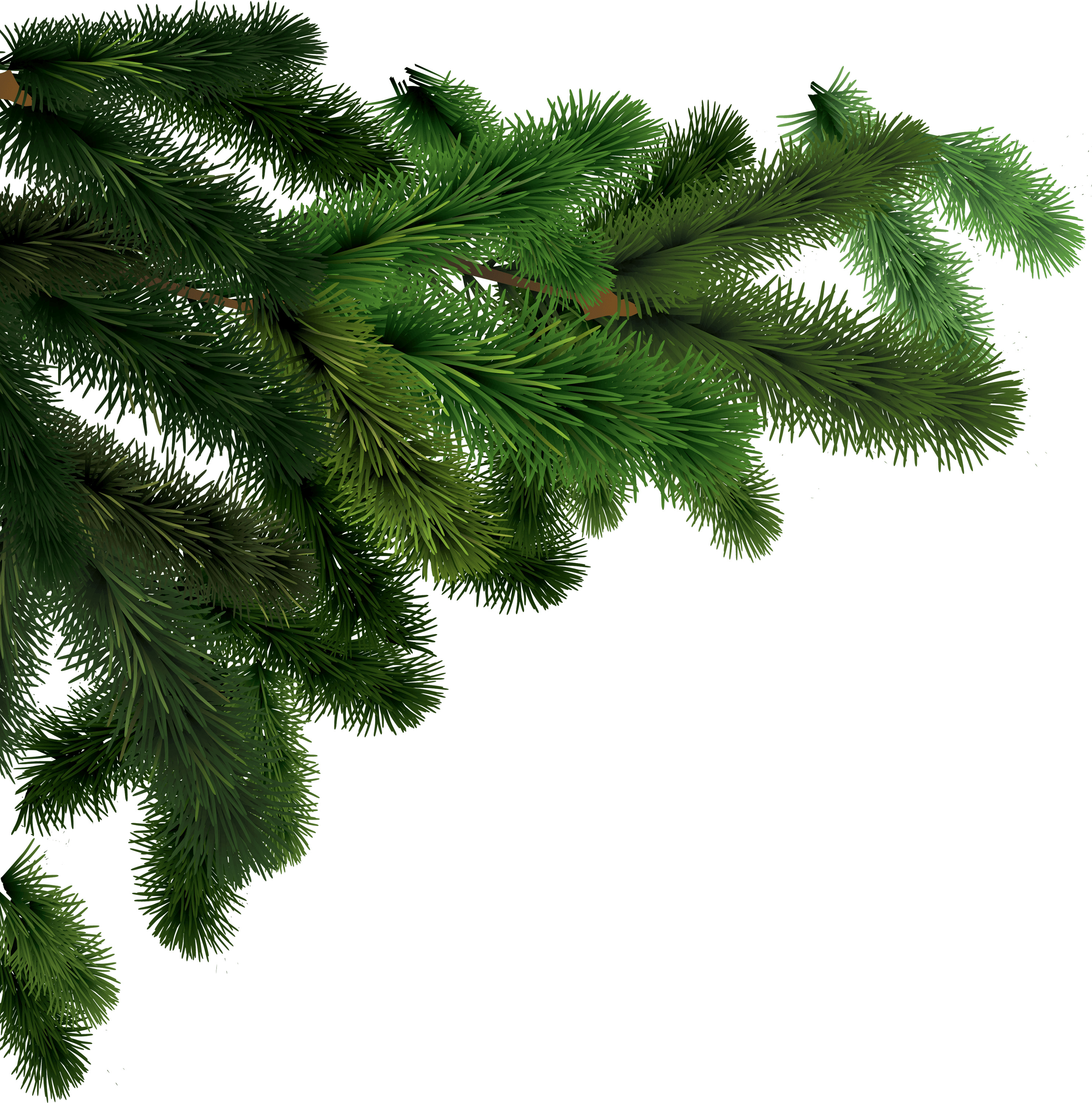 Side Branches Fir Tree icons