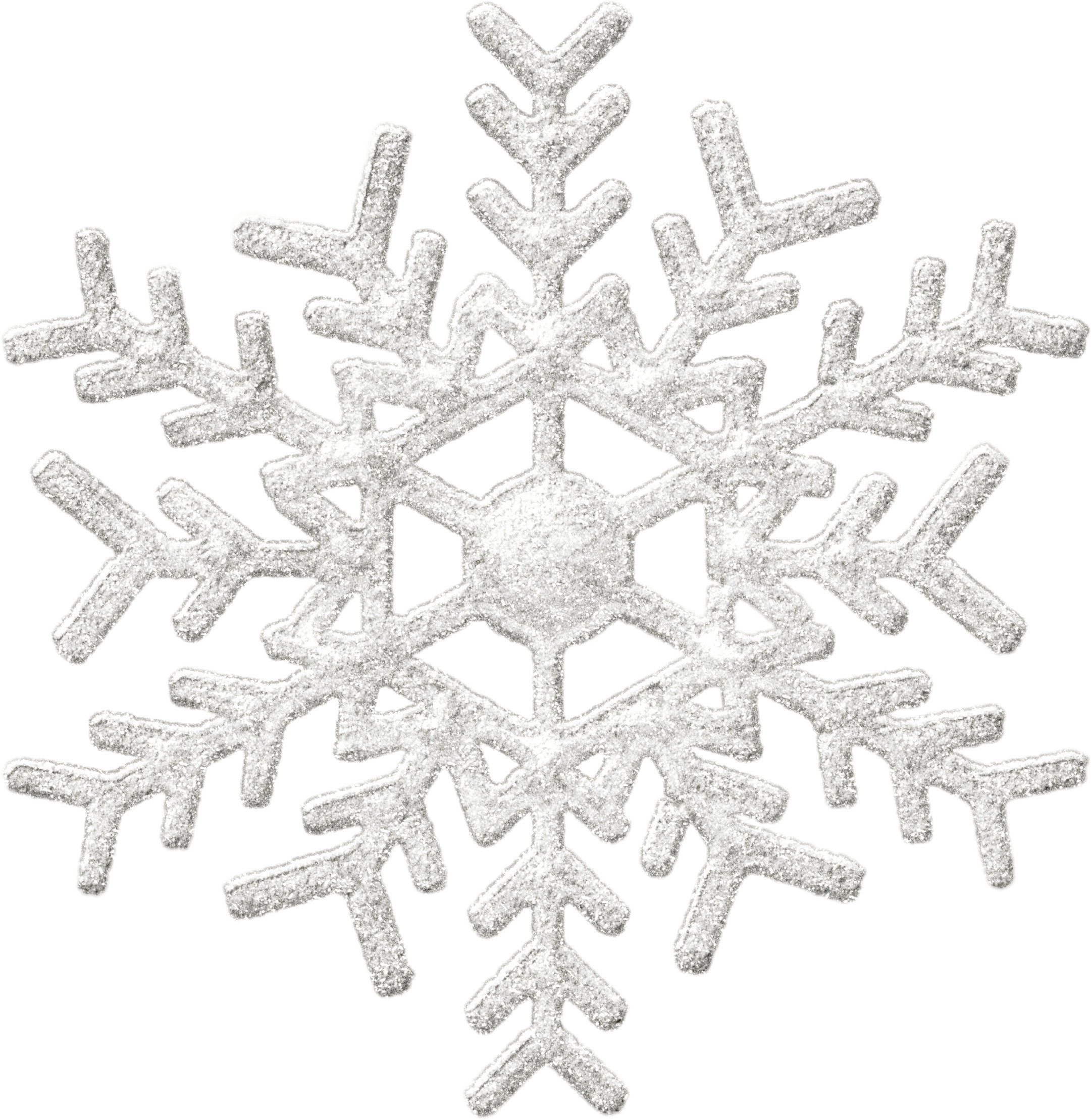 Silver Snowflake png icons