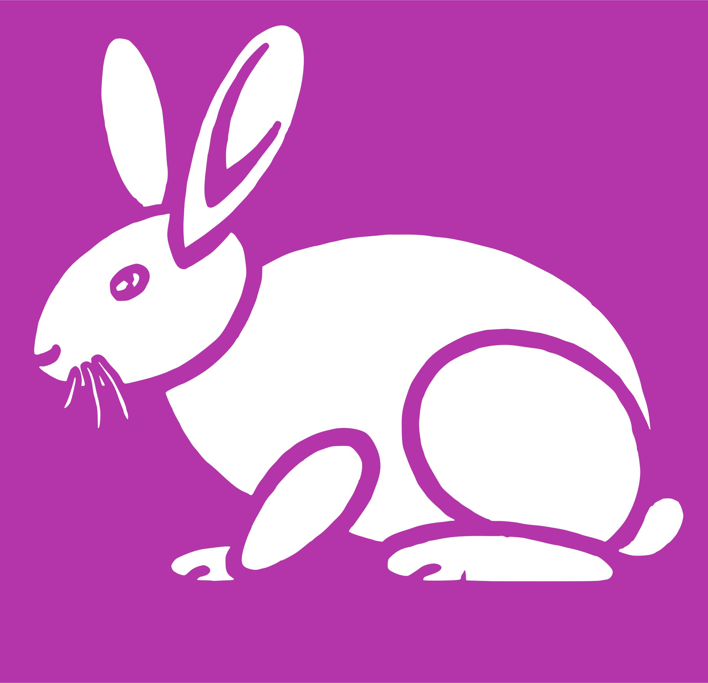 Simple Rabbit Pink png