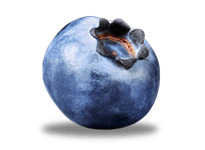Single Blueberry png
