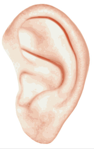 Single Ear png icons