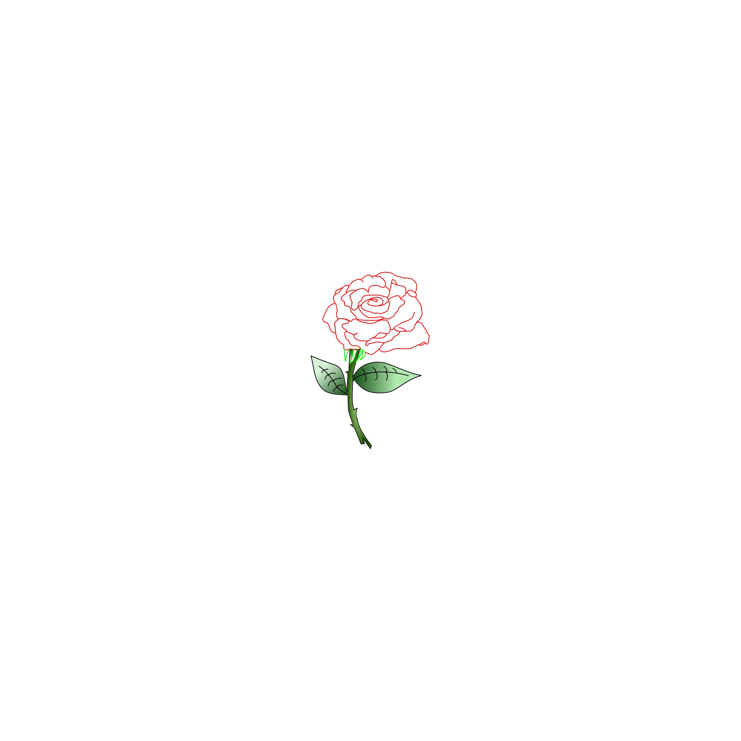 Single Rose png