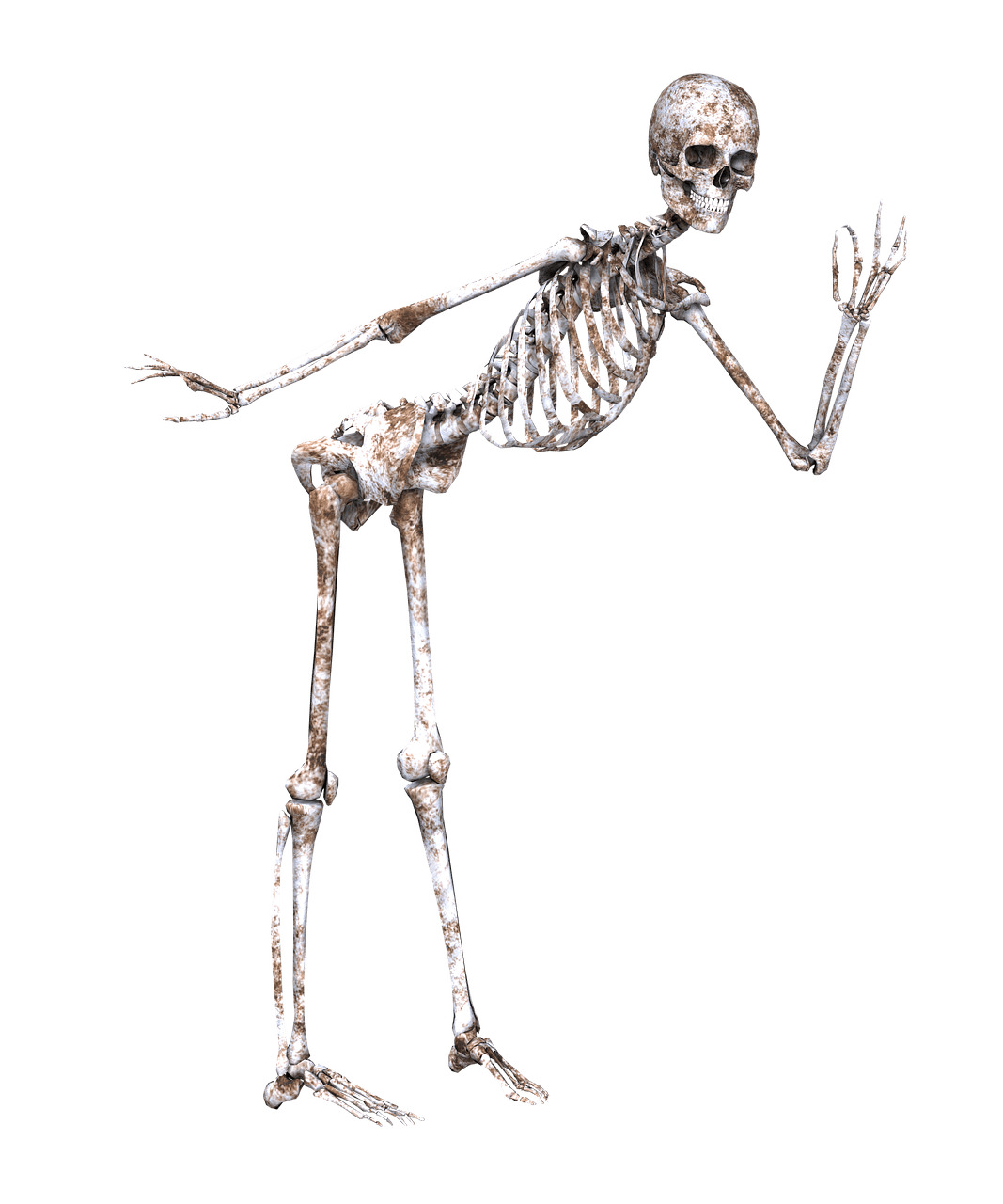 Skeleton Posing png icons