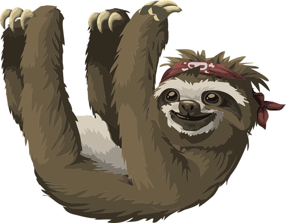 Sloth Hanging png icons