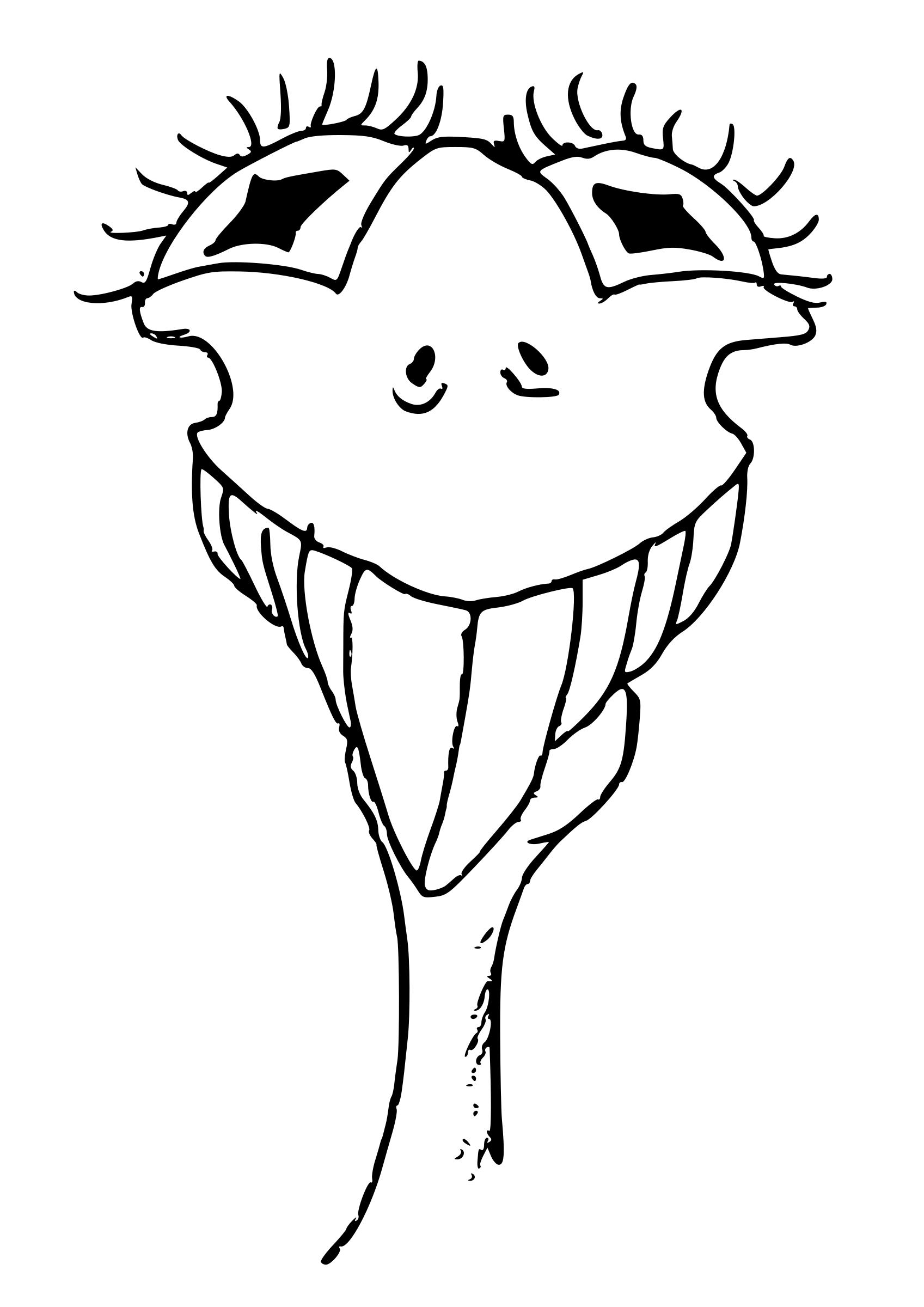 Smiling Ostrich png