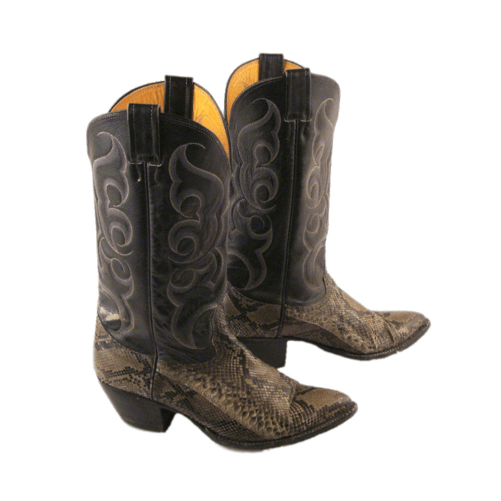 Snakeskin Cowboy Boots PNG icons