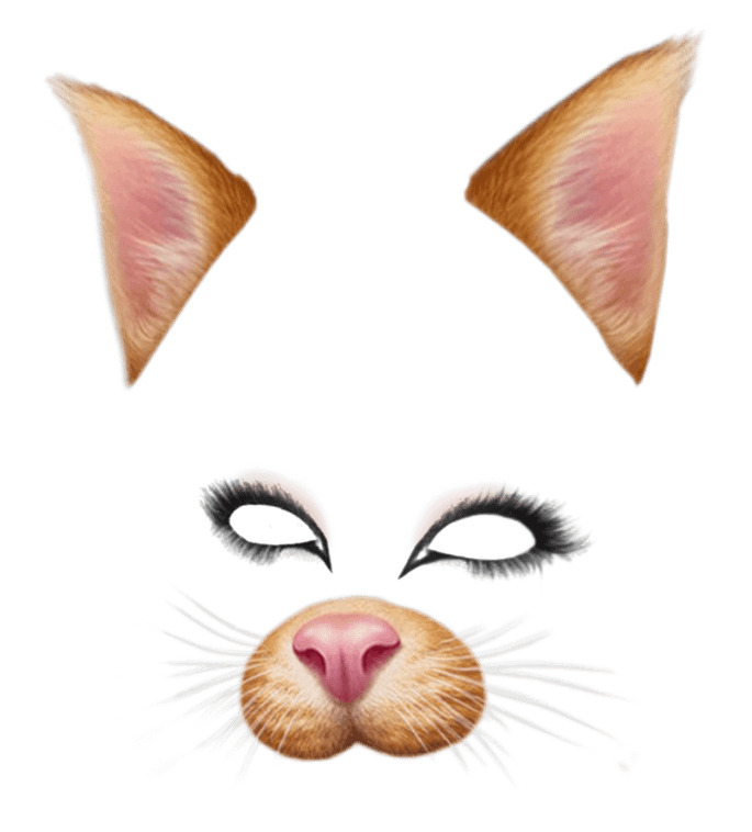 Snapchat Filter Brown Cat icons