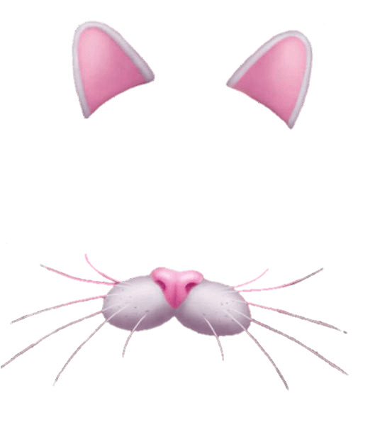 Snapchat Filter Bunny Rose icons