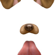 Snapchat Filter Dog Tongue icons