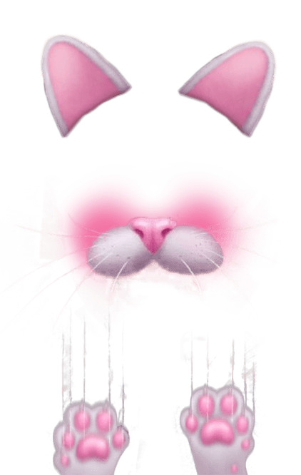 Snapchat Filter Kitten icons