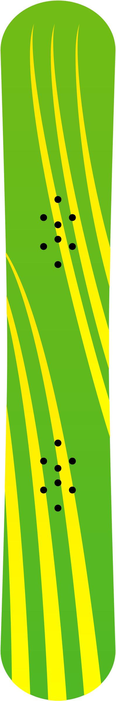 snowboard 1 png