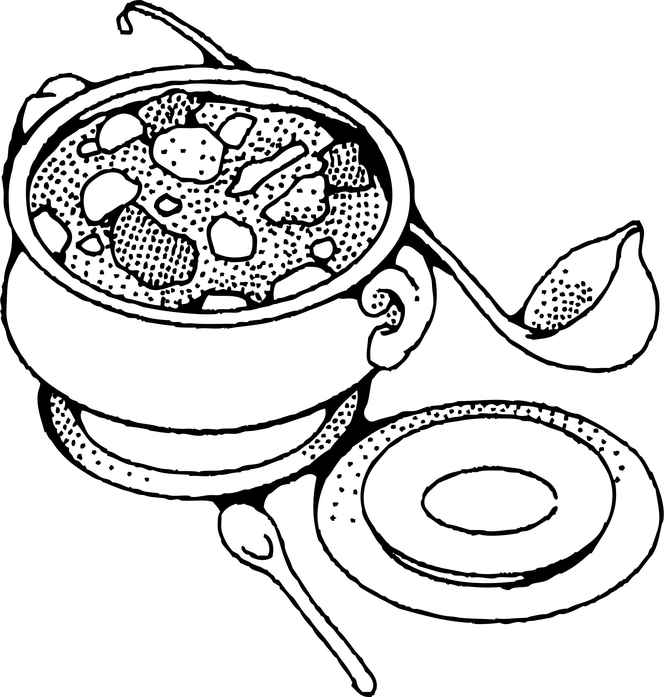 soup tureen png