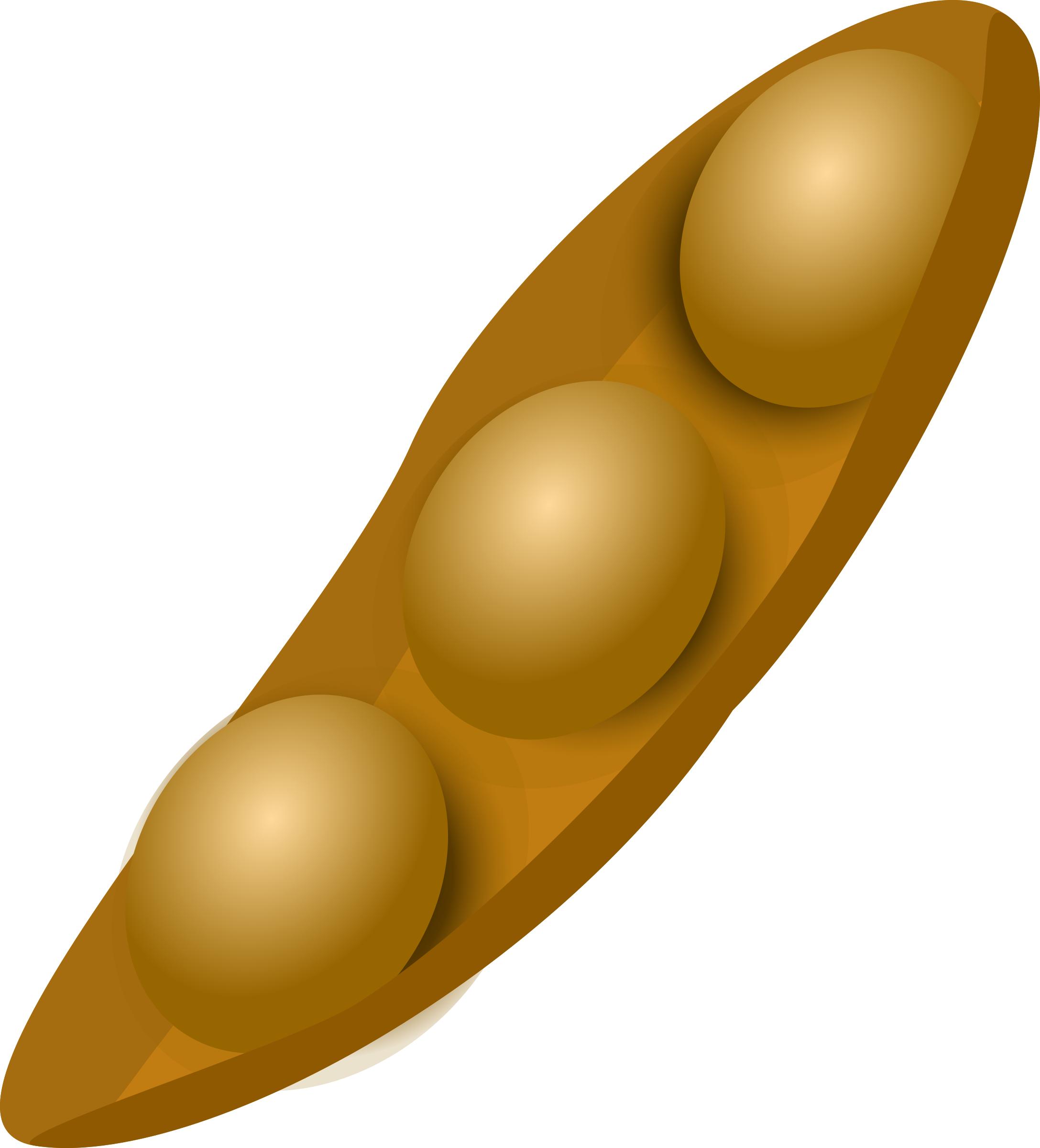 Soybean beans png