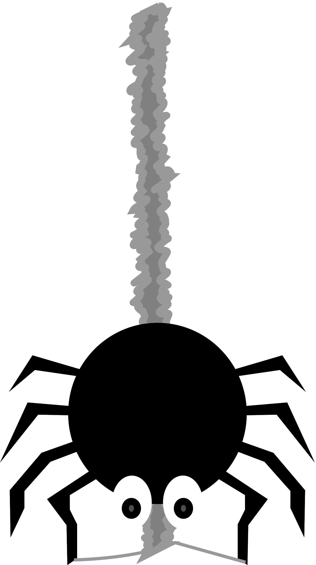Spinning Spider png