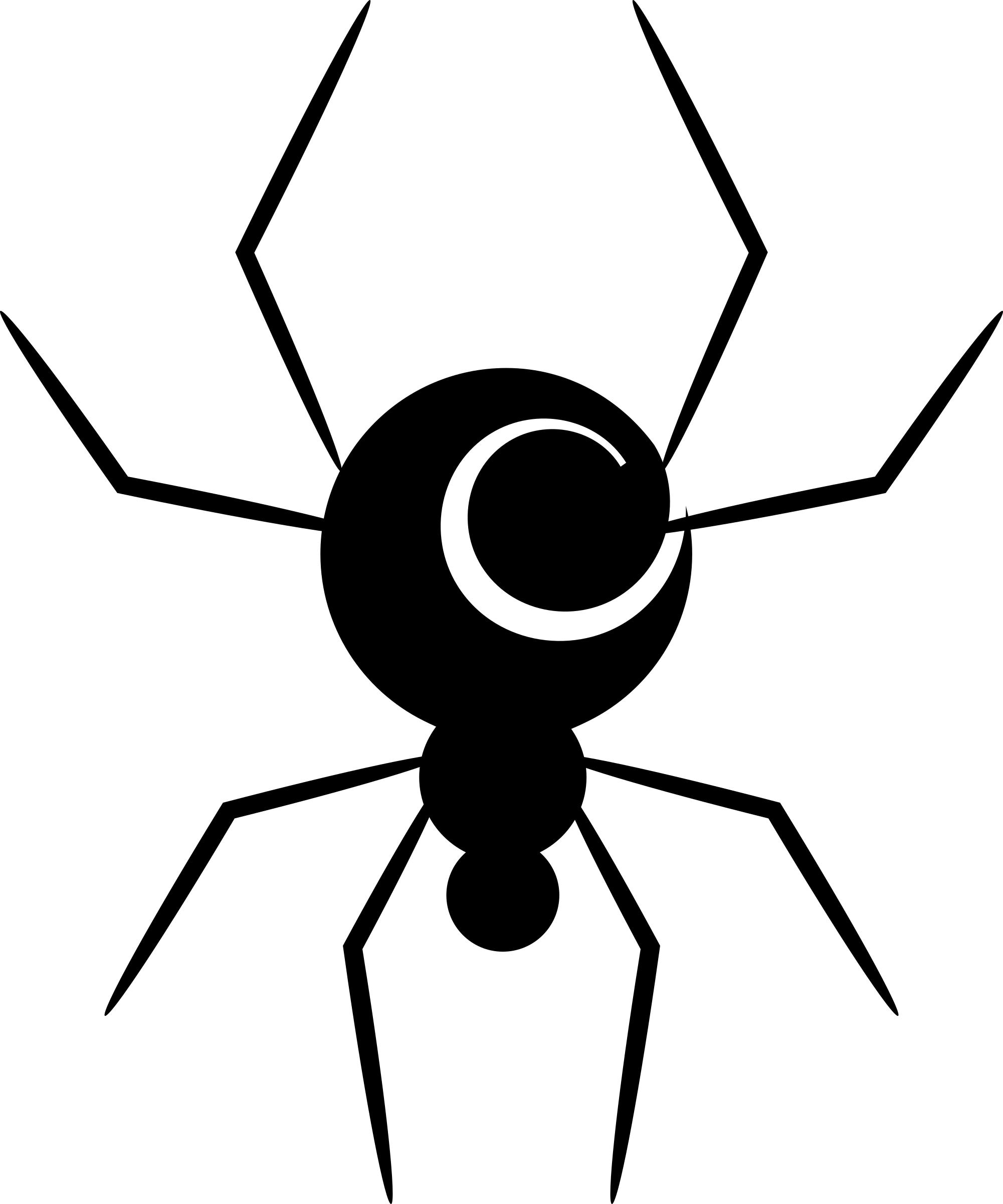 Spiral Spider PNG icons