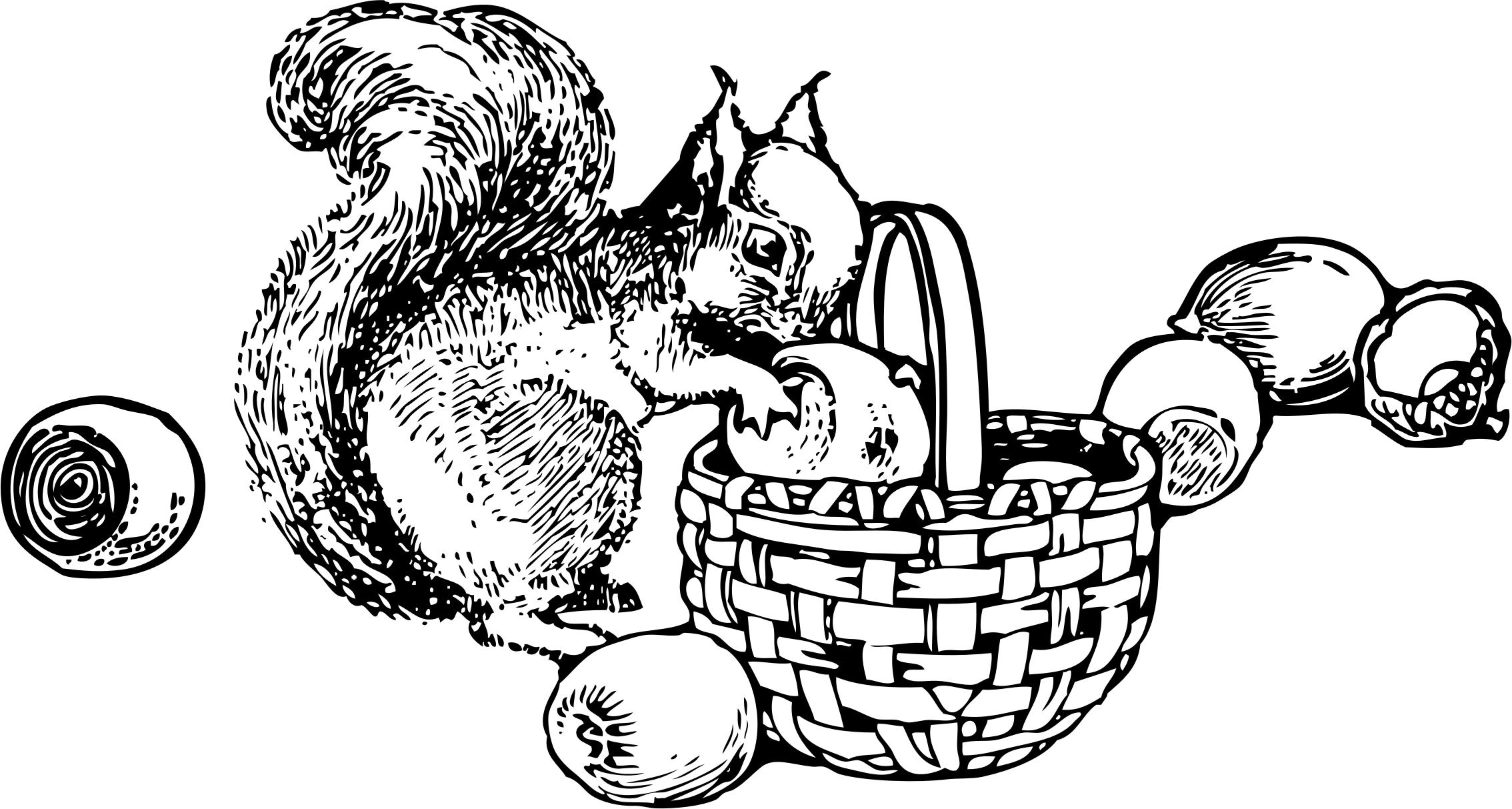 Squirrel Gathering Nuts png