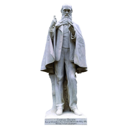 Statue Of Charles Darwin png icons
