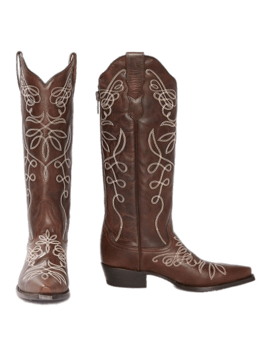 Stetson Women's Boots PNG icons