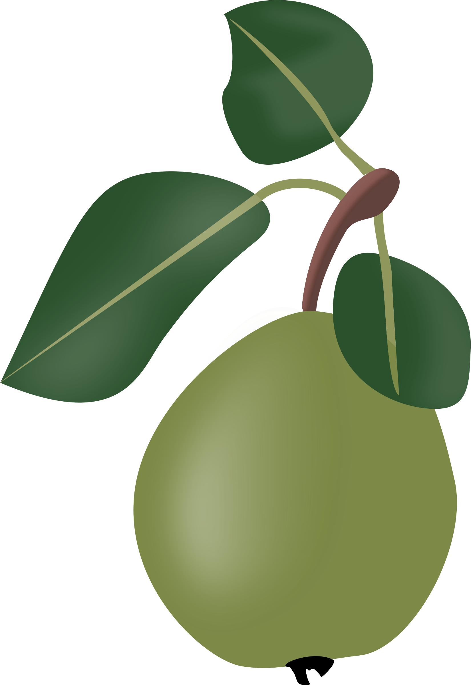 Stew pear with leafs png