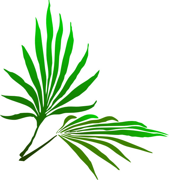 Sukkot Palm Branch png icons