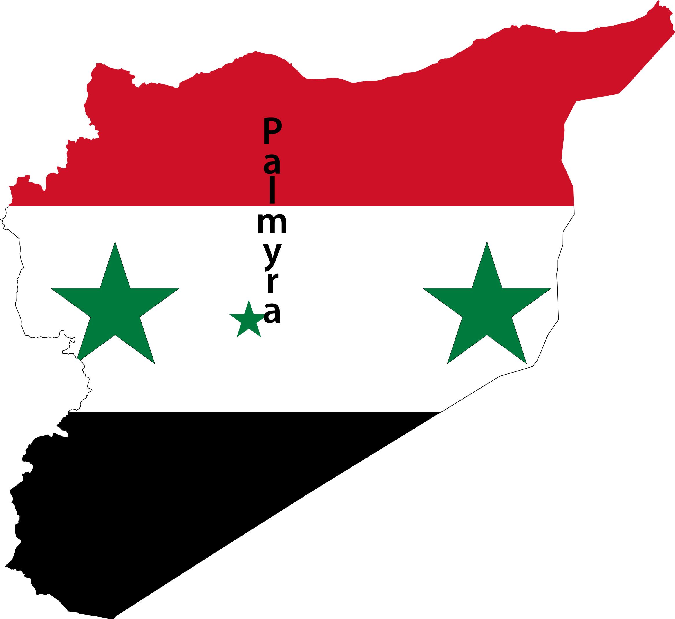 Syria Map Flag With Palmyra png