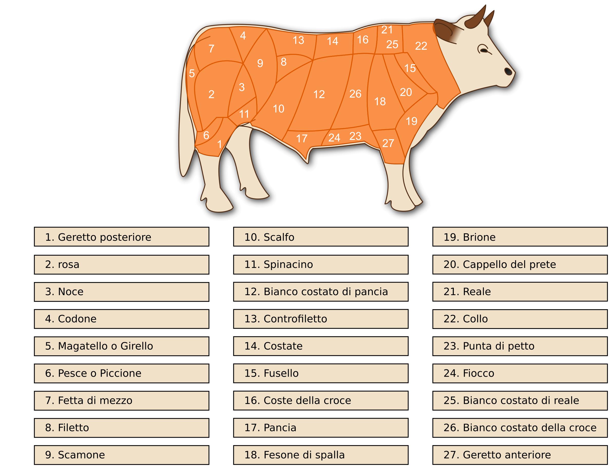 Tagli bovini - Beef cuts png
