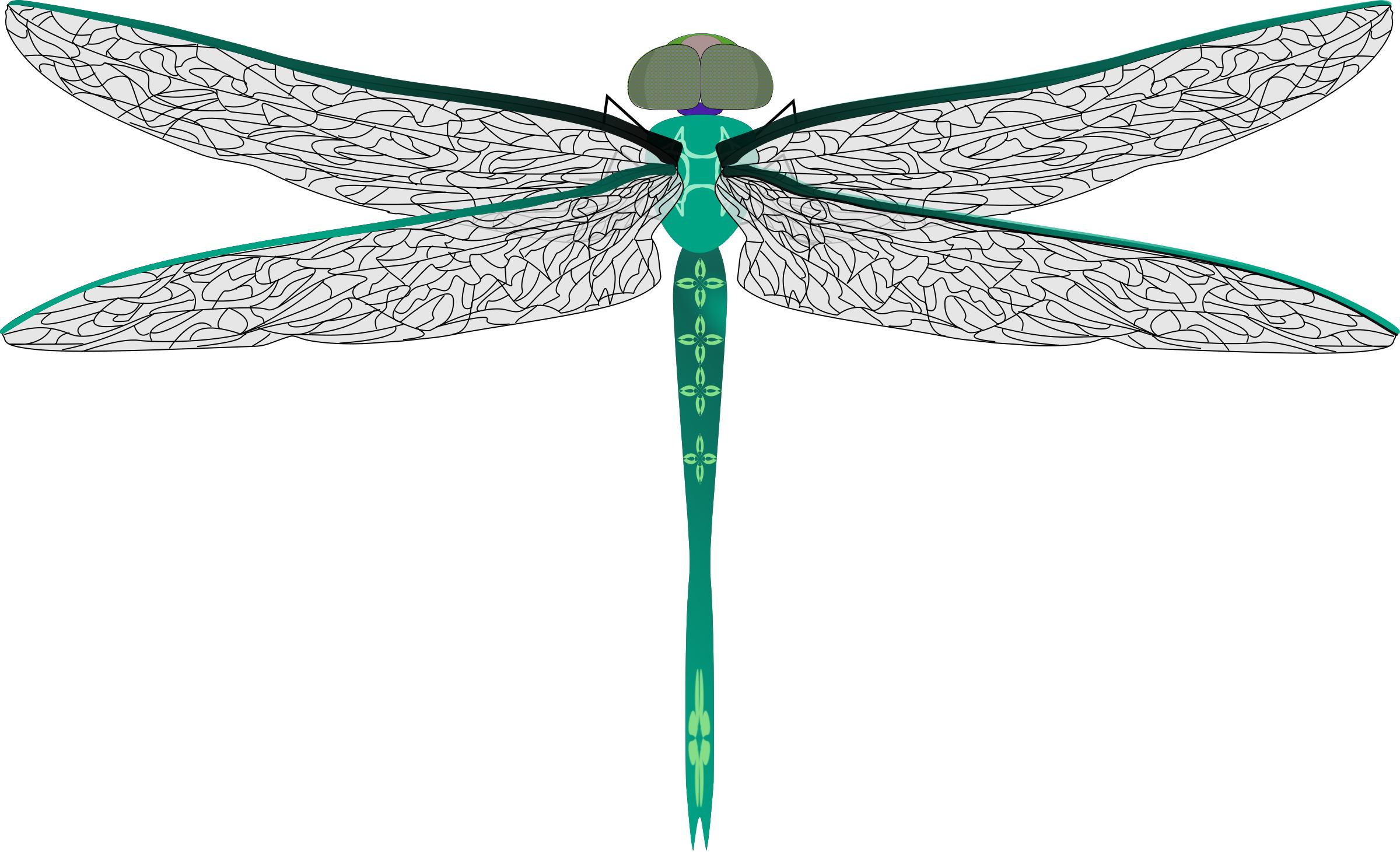 teal dragonfly png