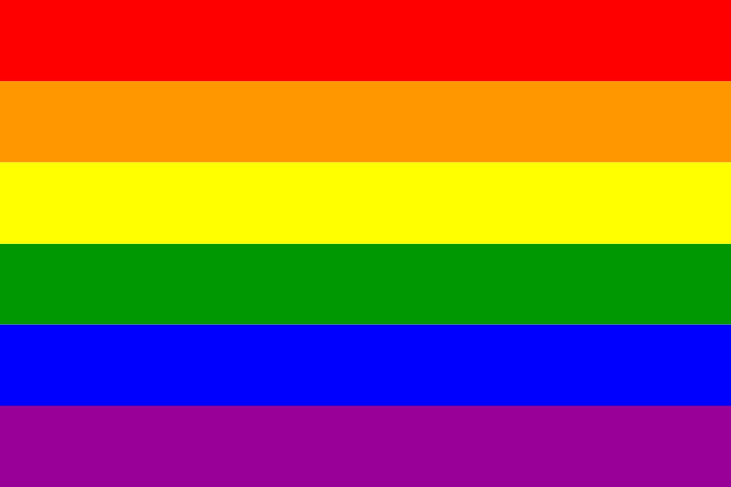 The Gay Pride Rainbow Flag png