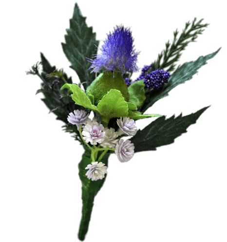 Thistle Boutonniere png