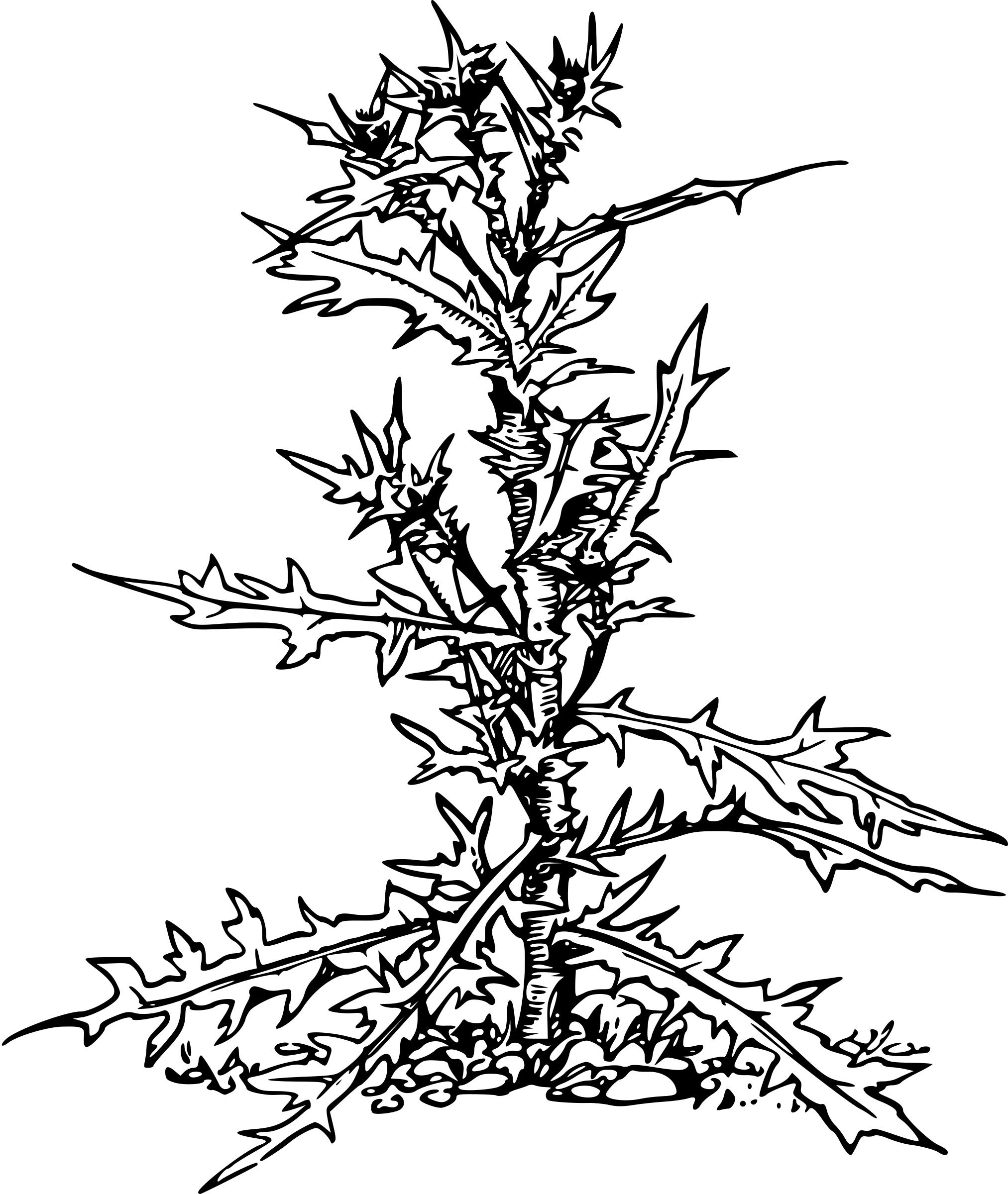 Thistle png