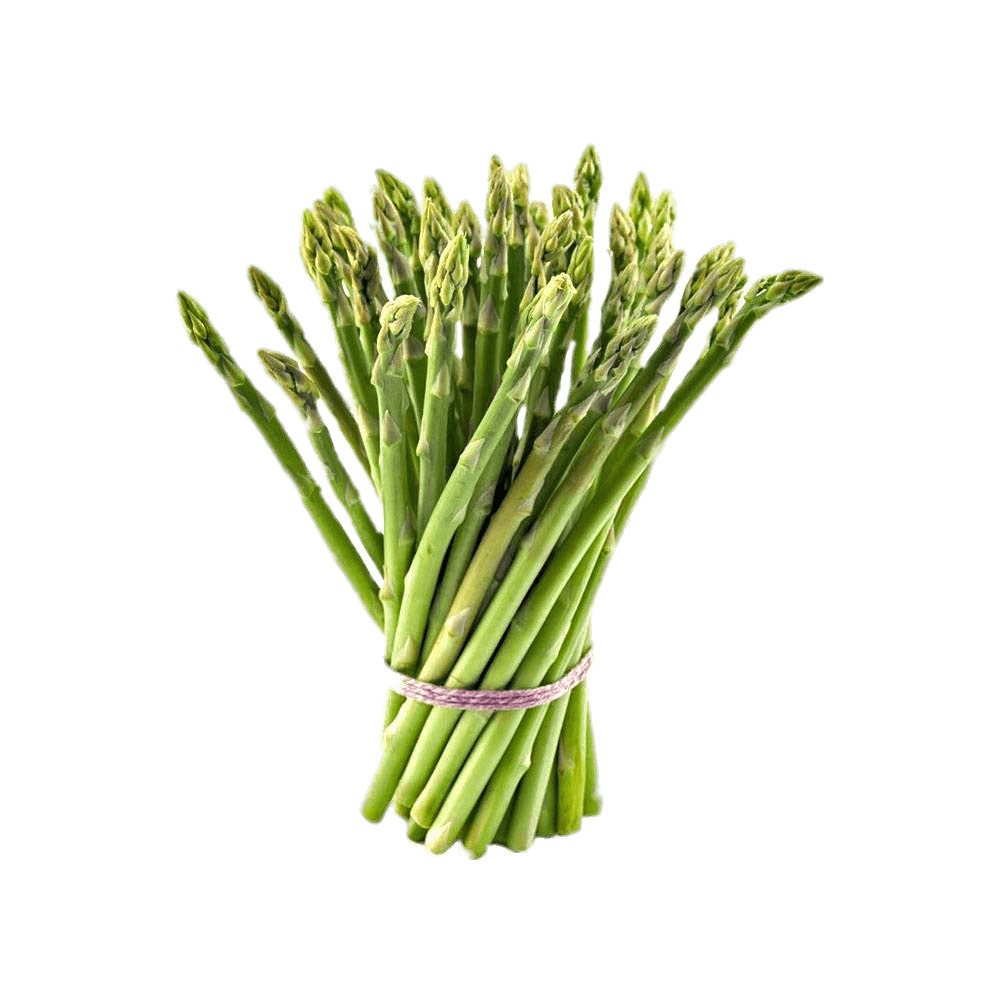 Tied Bundle Of Asparagus png icons