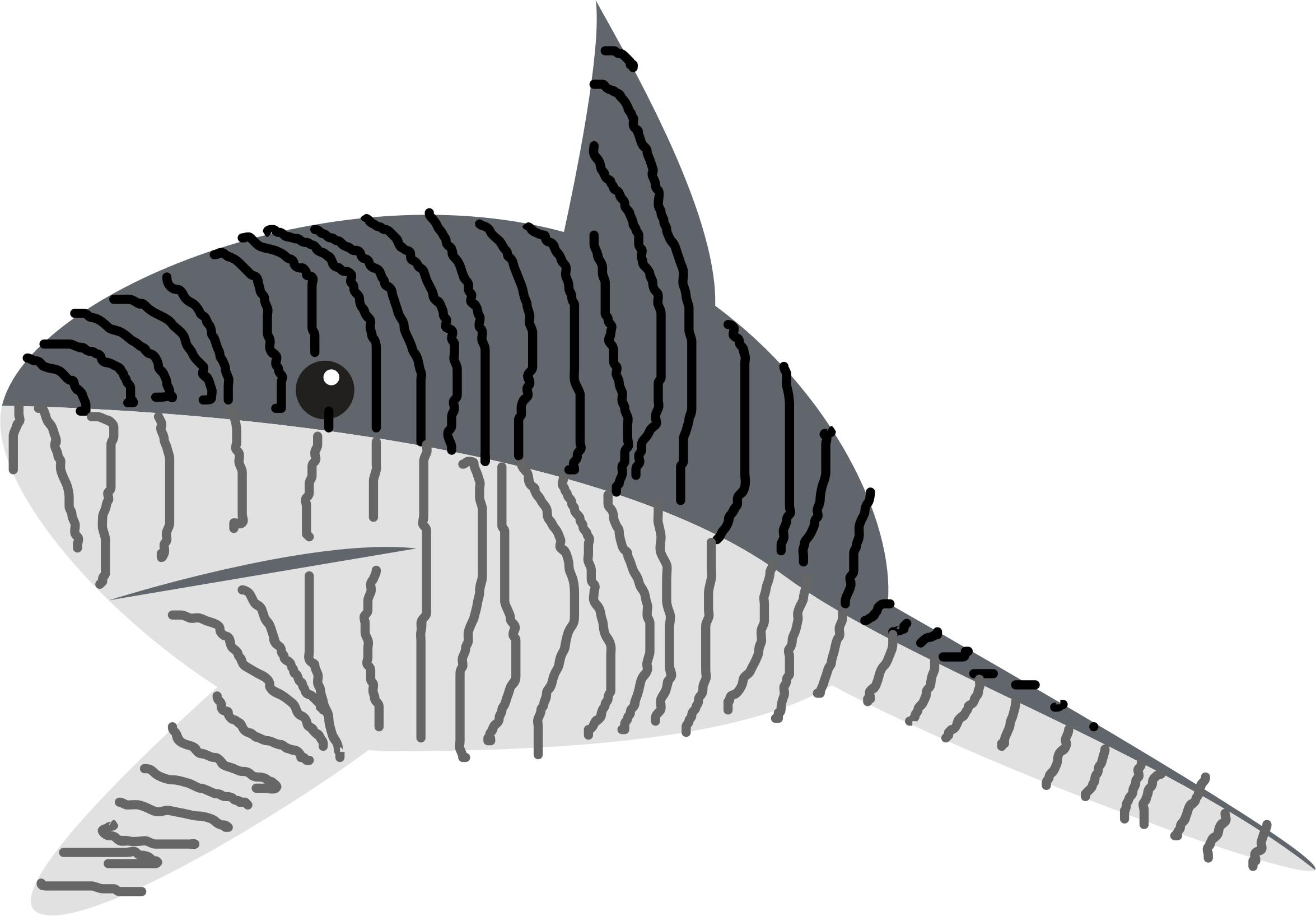 Tiger Shark (Beast Of The Seas) png