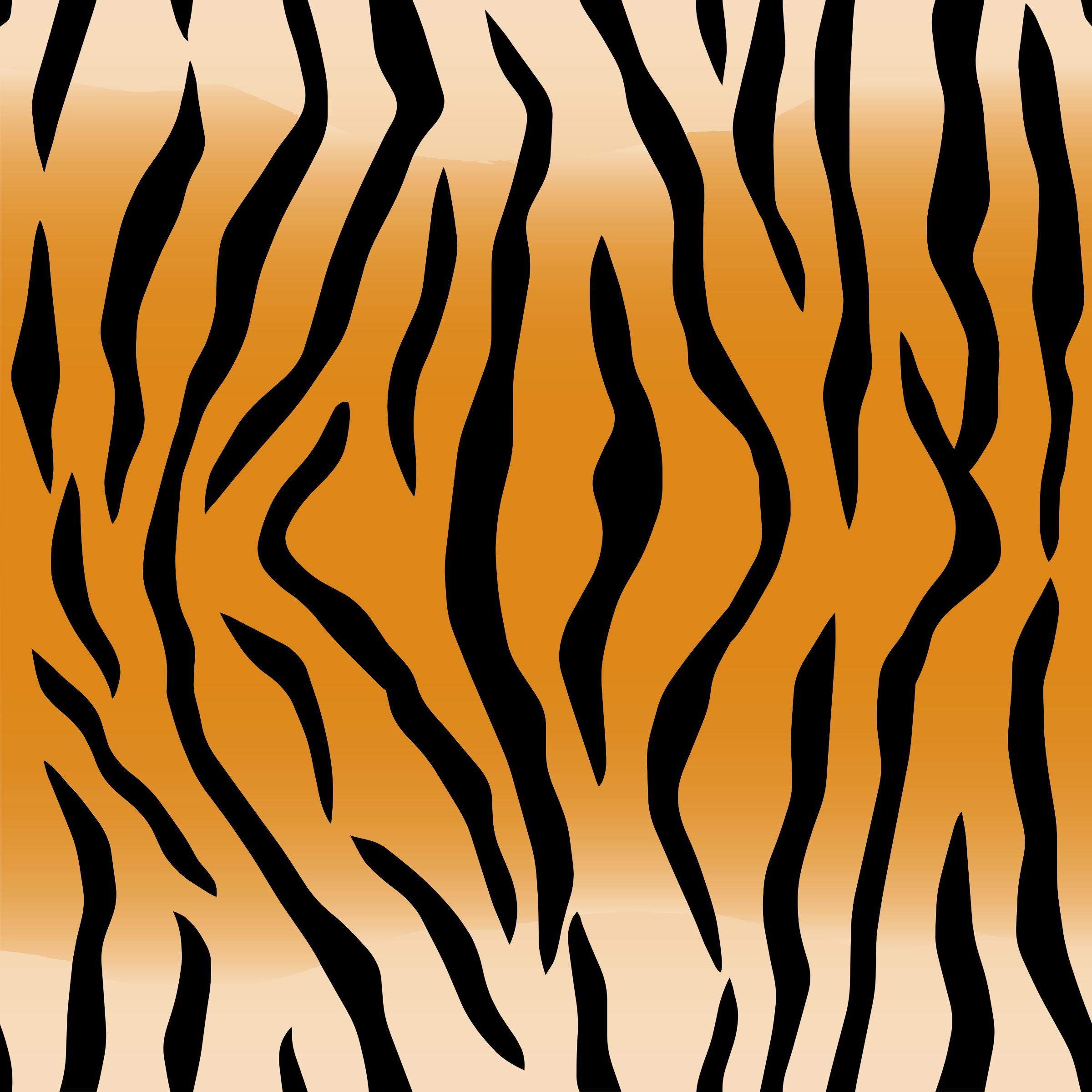 Tiger Stripes Pattern png