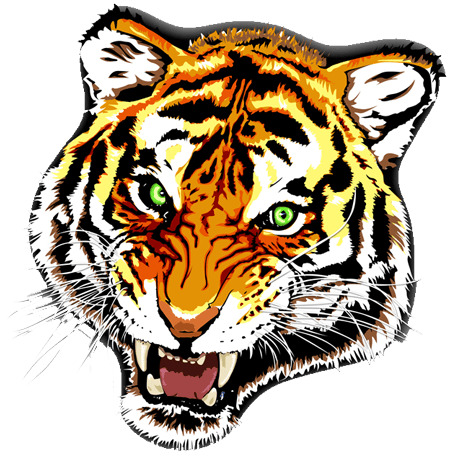Tiger Tattoo Colour icons