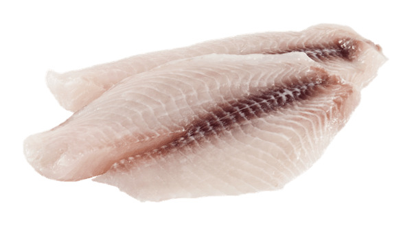 Tilapia Fillets icons