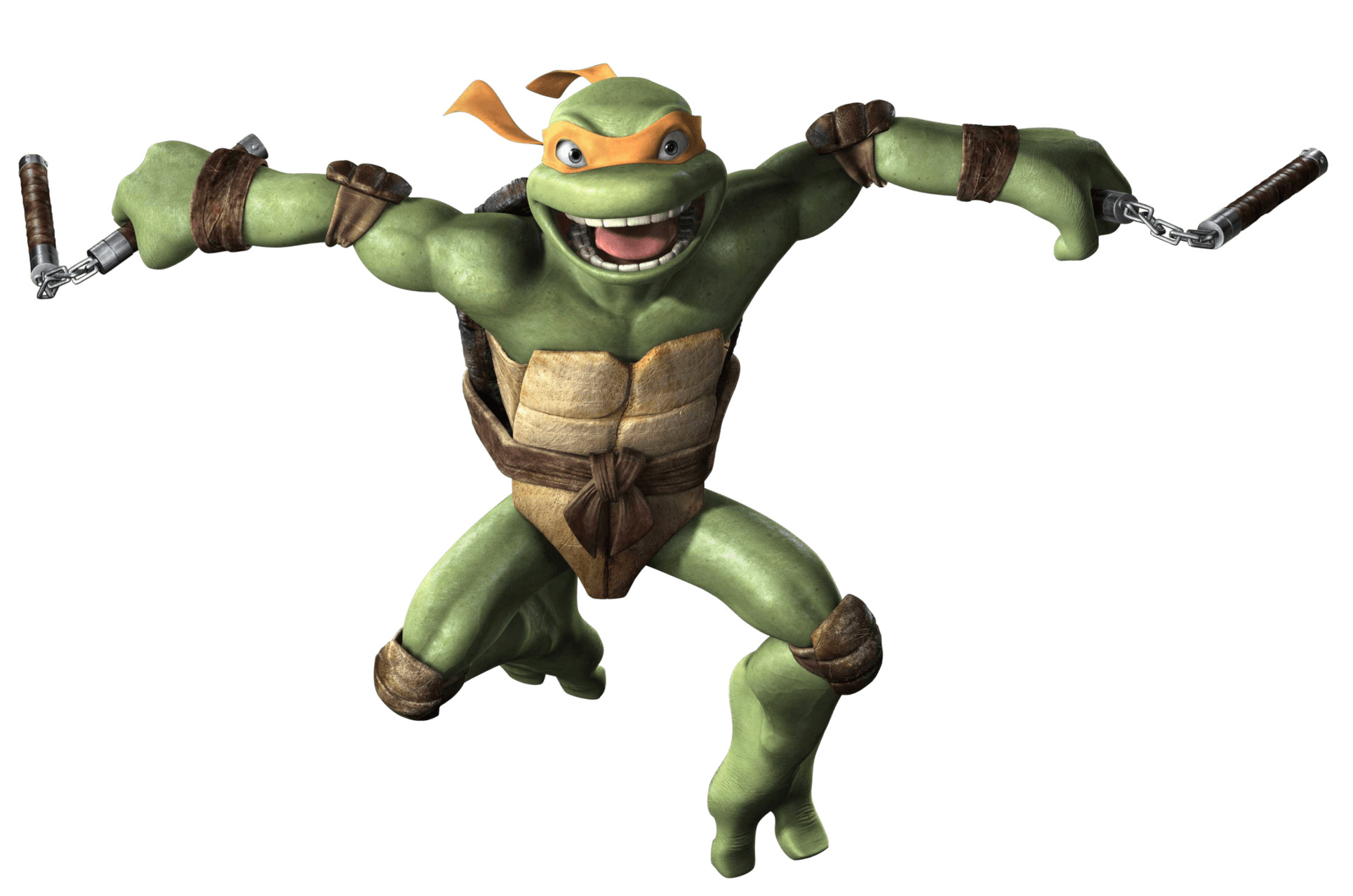 Tmnt Michelangelo PNG icons