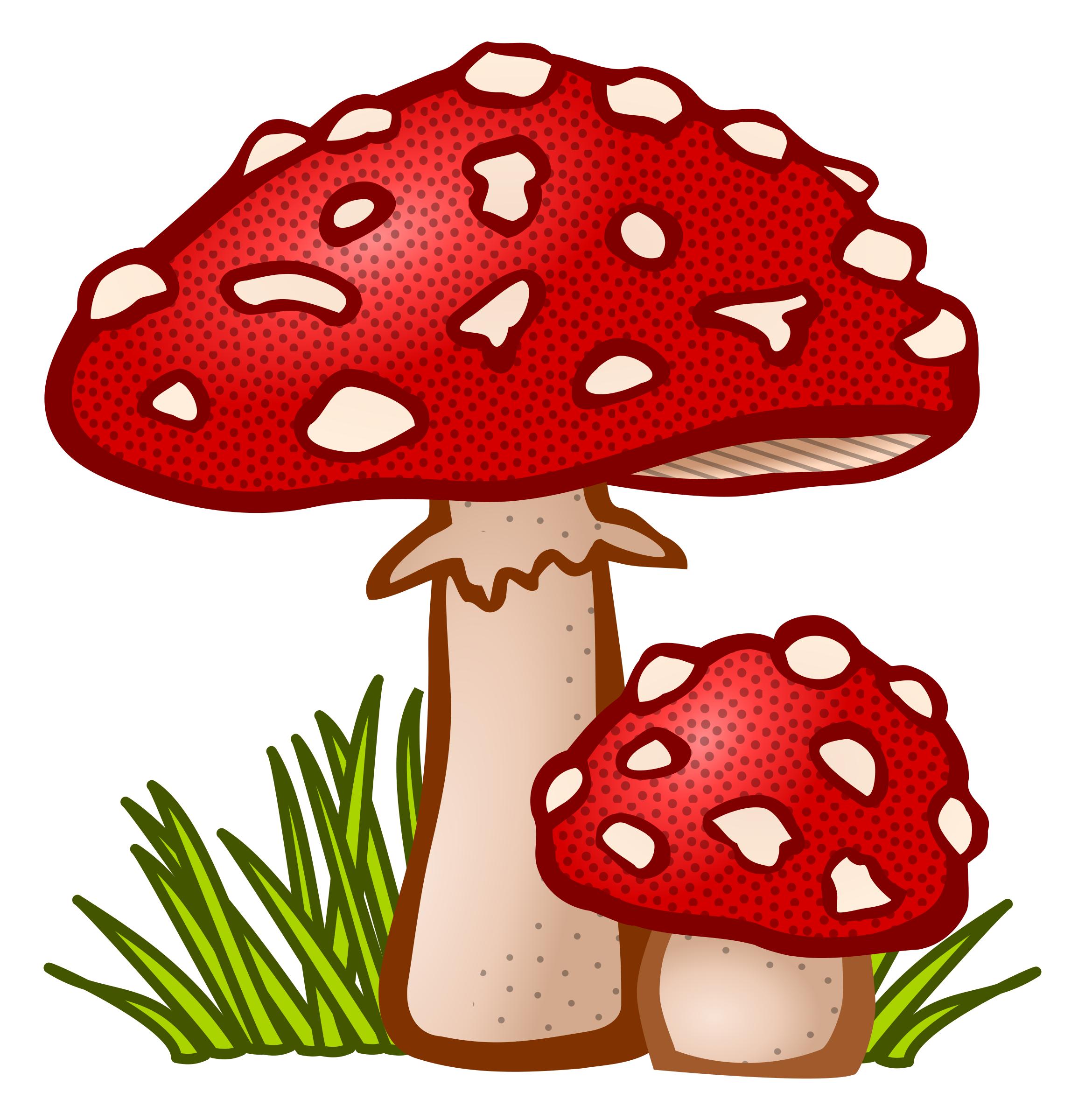 toadstool - coloured png