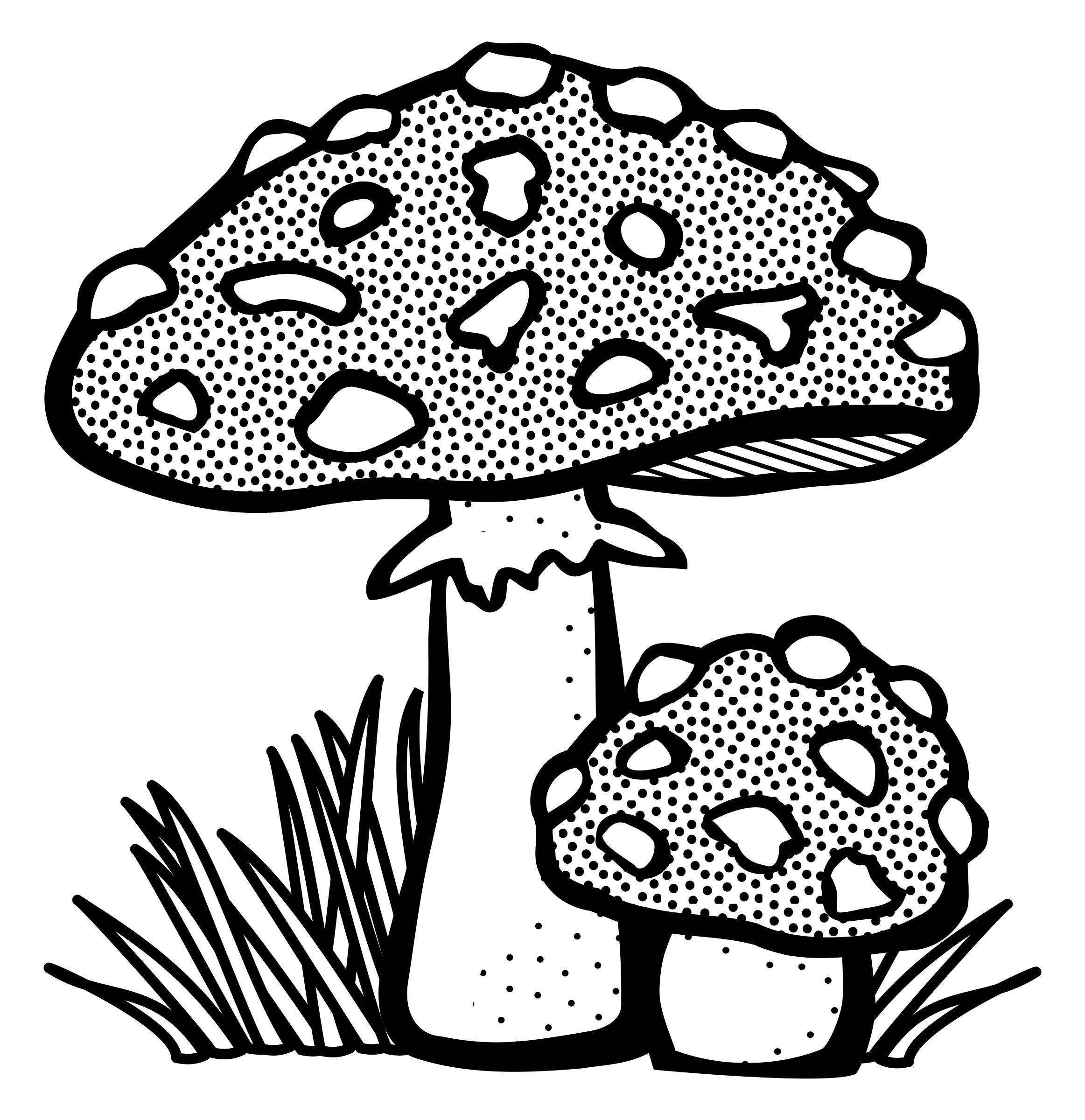 toadstool - lineart png