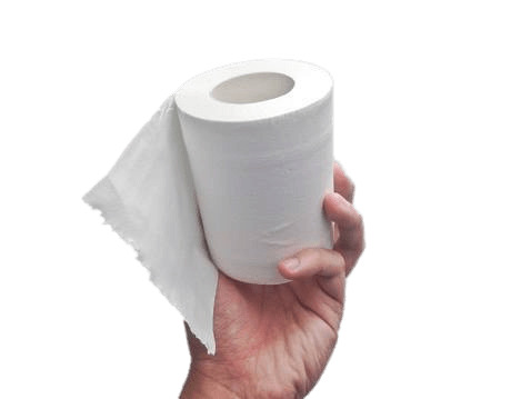 Toilet Paper Roll In Hand png icons