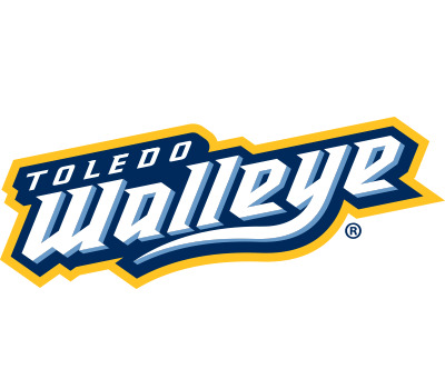 Toledo Walleye Text Logo icons