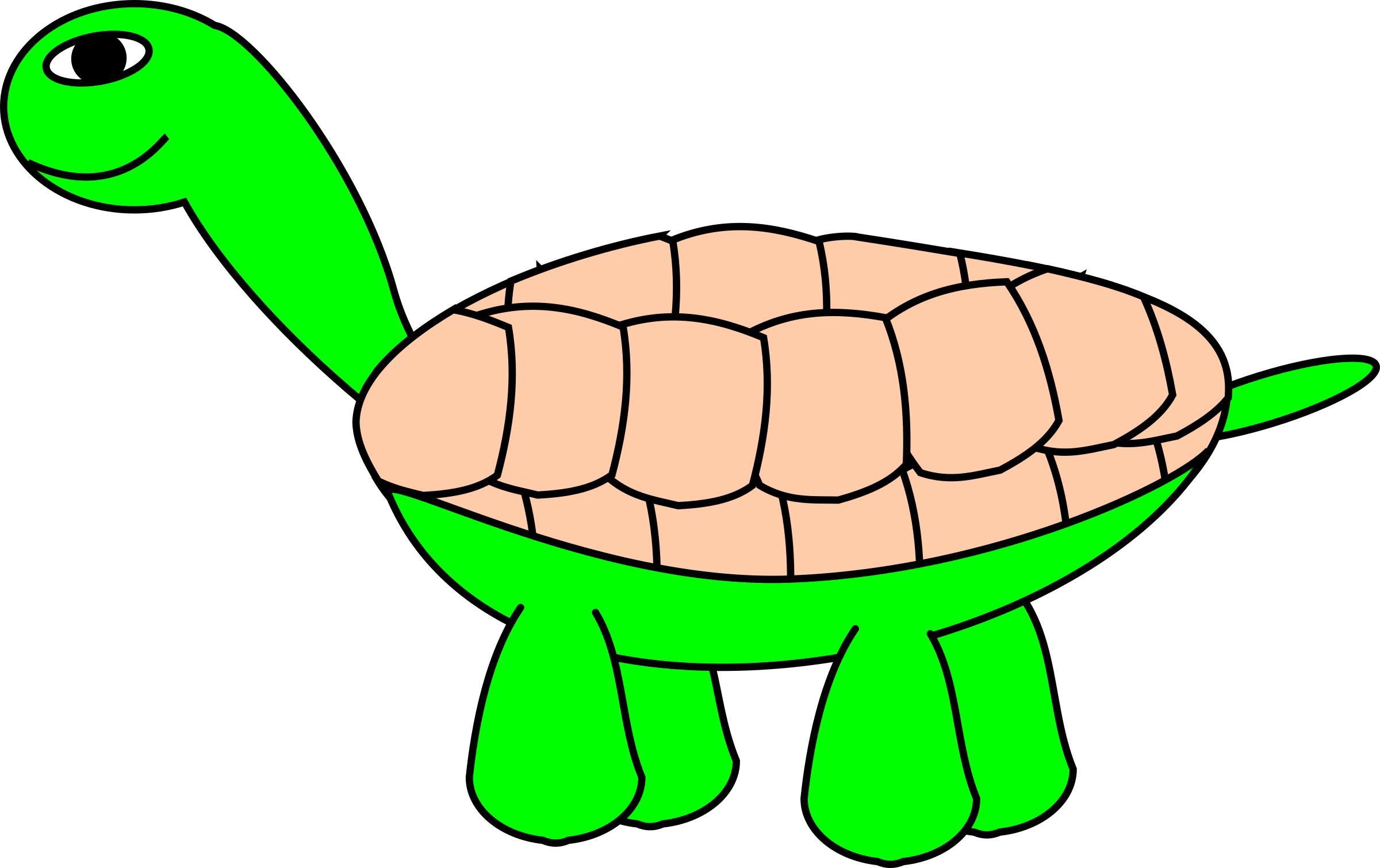 TortoiseStage5 png